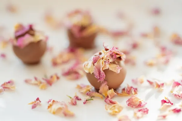 JokerBet Casino Android/iOS programa